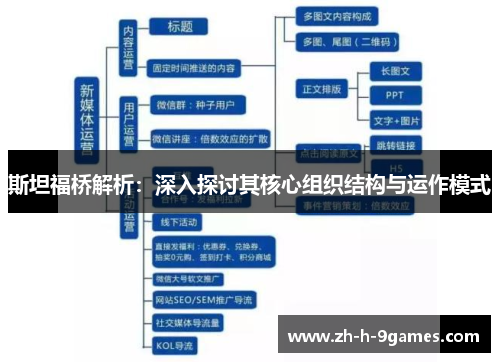 斯坦福桥解析：深入探讨其核心组织结构与运作模式
