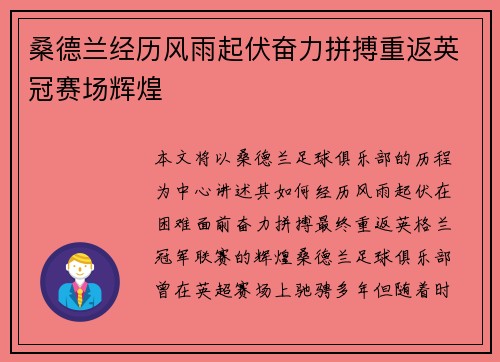 桑德兰经历风雨起伏奋力拼搏重返英冠赛场辉煌